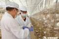 春風執筆繪巾幗畫卷 柔肩擎旗綻時代芳華 河源新時代女性在各自崗位展現“她力量” 春風執筆繪巾幗畫卷 柔肩擎旗綻時代芳華 河源新時代女性在各自崗位展現“她力量”