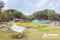 科技“點化”共富路 竿竿翠竹“勁”飄香 “雙百行動”助推和平竹產業高質量發展 科技“點化”共富路 竿竿翠竹“勁”飄香 “雙百行動”助推和平竹產業高質量發展